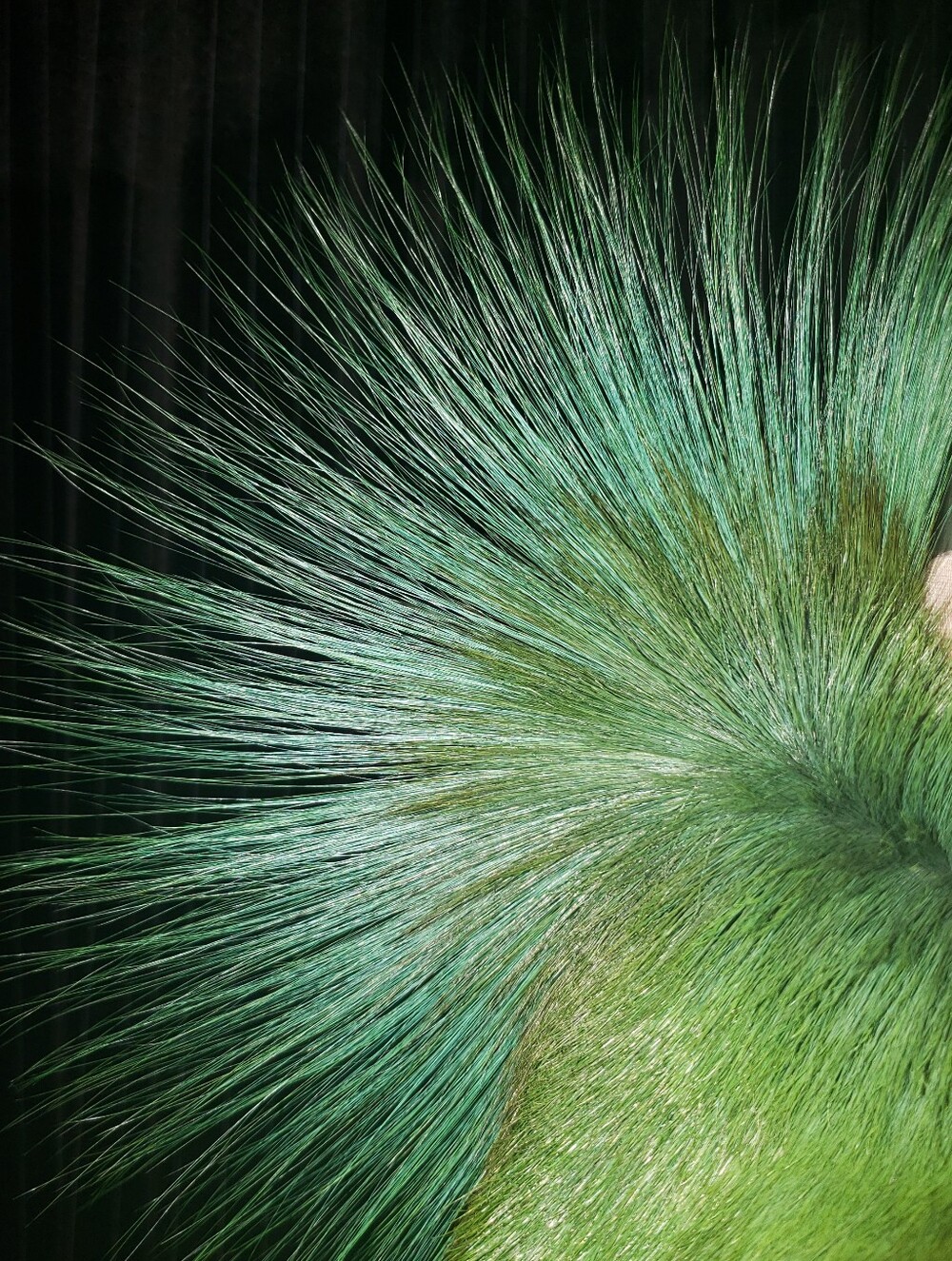 Rare Springbok Fur Green Brown Crop Mohawk Vest